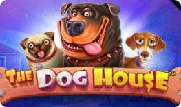 Slotlounge – The Dog House